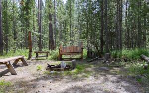 a park with two benches and a fire pit in the woods at Hooter Hollow by KABINO Fire Pit Big Driveway SmartTV Grill WiFi in Island Park