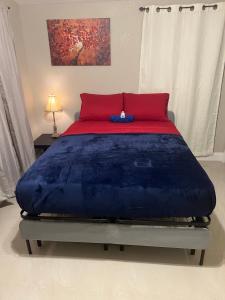 Un dormitorio con una gran cama azul con una almohada roja en Oak Ridge House, en Tampa