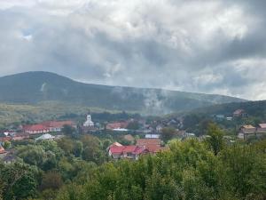 a small town with a mountain in the background at La Padurea Mica in Cărbunari