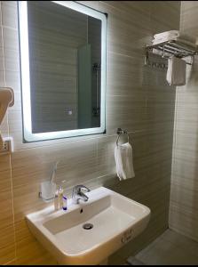 ein Bad mit einem Waschbecken und einem Spiegel in der Unterkunft Petra Oleander Hotel in Wadi Musa