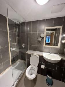 a bathroom with a toilet and a sink at Sir John Rodgerson Apartment in Dublin