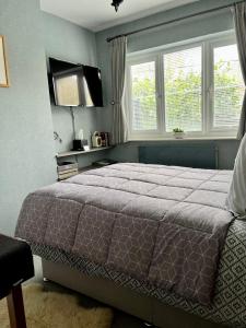 a bedroom with a bed and two windows and a television at Woodbriar in Conwy