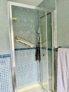 a shower with a glass door in a bathroom at Woodbriar in Conwy