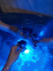 two people holding wine glasses in a swimming pool at Apartament Nad Jeziorem Brenno in Brenno