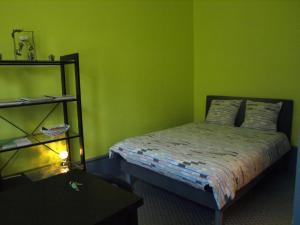 zieloną sypialnię z łóżkiem i półką w obiekcie Appartement Le Gambetta w mieście Le Mans