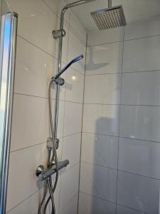 eine Dusche mit Duschkopf in einem Badezimmer in der Unterkunft 7 person House with garden, firepit, swimming lake, hammock, child friendly, in- and outside playground, slide, and great coffee in Ewijk + 26 Fotos