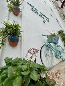 Una bicicleta azul estacionada junto a una pared con plantas en Hostal Boutique Olvido 22, en Peñíscola
