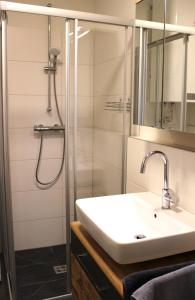 a bathroom with a sink and a shower at Apartment Blicksüd in Unterburg am Klopeiner See