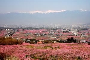 山景或在酒店看到的山景