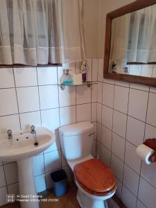 a bathroom with a toilet and a sink at Leopards and Louries Bush Lodge in Camperdown