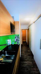ein Badezimmer mit einem Waschbecken und einer grünen Wand in der Unterkunft Michels Apartment in Titisee-Neustadt