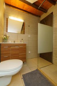a bathroom with a toilet and a glass shower at Villa Maria - Hydra Dream Houses in Hydra