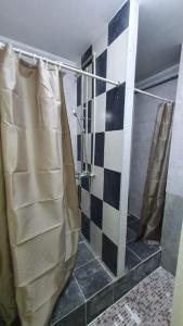 uma casa de banho com chuveiro e cortina de chuveiro em Фэмили хостел em Almaty