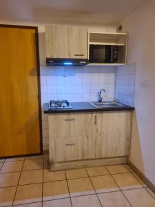 a small kitchen with a sink and a microwave at Les Hauts Des Auches in Ancelle