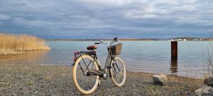 a bike parked on the shore of a lake at See ums Eck Moderne Fewo am Hainer See in Neukieritzsch