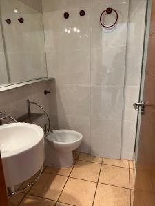 La salle de bains est pourvue d'un lavabo, de toilettes et d'un miroir. dans l'établissement Residencial Los Almendros Playa Romana, à Alcossebre