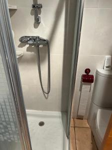 La salle de bains est pourvue d'une douche avec un tuyau et de toilettes. dans l'établissement Residencial Los Almendros Playa Romana, à Alcossebre
