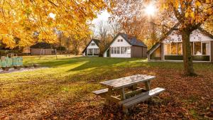 een parkbank in het gras onder een boom bij Groenpark Simpelveld in Simpelveld