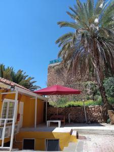 ein Haus mit einer Palme und einem roten Regenschirm in der Unterkunft TAG Pansiyon in Antalya