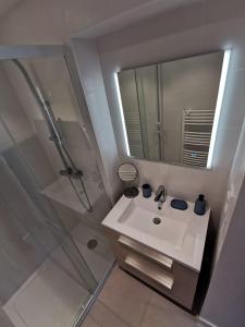 uma casa de banho com um lavatório e um chuveiro com um espelho. em La mare aux petits diables em Équemauville