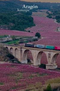 a train on a bridge over a field of flowers at Casa rural El olivo in Puigmoreno