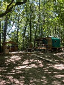 eine Gruppe von Zelten in einem Wald mit Bäumen in der Unterkunft Yourte au bord du lac de mielan in Miélan