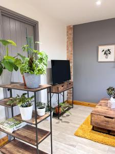 a living room with potted plants and a tv at Aplanty Studio in the Orchard 