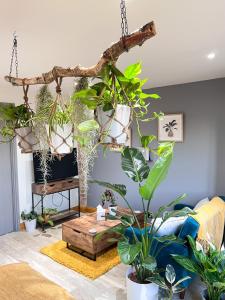 una stanza con un mucchio di piante in vaso di Aplanty Studio in the Orchard 
