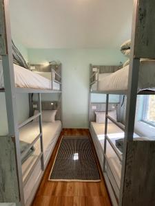 Eevolve Dharamkot - An Eco Hostel客房内的一张或多张床位