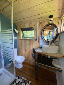 uma casa de banho com um WC, um lavatório e um espelho. em La Yourte du Jardin Caché em Marmande