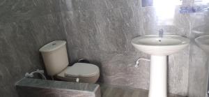 een badkamer met een toilet en een wastafel bij Haputale Super View in Haputale