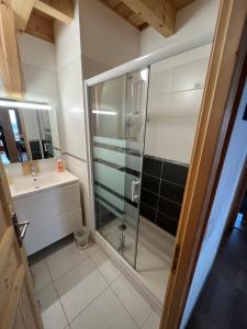 a bathroom with a shower and a sink at Chalet des Monts Dore in Chastreix