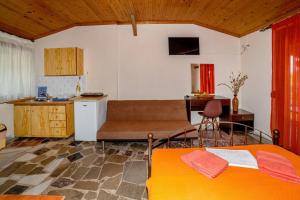 a living room with a couch and a kitchen at Pension Veria Frankfurt in Akti Salonikiou