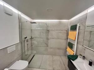a bathroom with a shower and a toilet and a sink at Chalet Apartment 1 