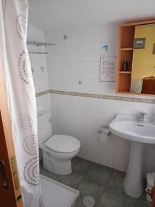 uma casa de banho com um WC e um lavatório em Albergue de Peregrinos Ultreia et Suseia em Sigüeiro