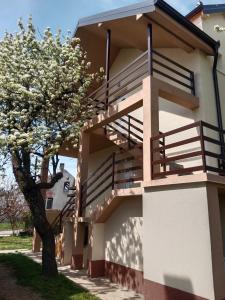 a building with stairs and a tree next to it at Apartmani Ostojic in Vrdnik