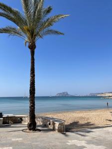 una palmera y un banco en la playa en Superb villa with heated private pool - stunning sea and mountain views- Air con en Teulada