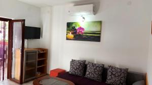 Televízia a/alebo spoločenská miestnosť v ubytovaní Apartments Banoci