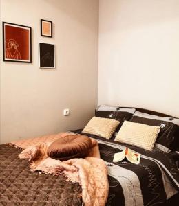 新瓦羅許的住宿－Apartman Jela，一间卧室配有两张床,床上放着一只狗。