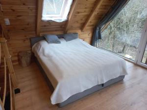 Fotografie z fotogalerie ubytování Ancuty 20 v destinaci Ancuty