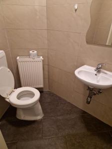 a bathroom with a toilet and a sink at Klosterappartment in Mödling