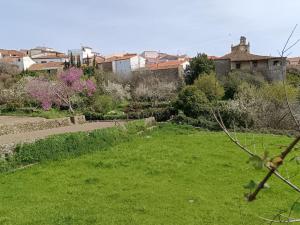 un jardín con césped verde y edificios de fondo en Casa Villamiel, en Villamiel