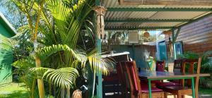une véranda avec une table, des chaises et un palmier dans l'établissement Les bungalows meublés du Pharest, à Sainte-Suzanne