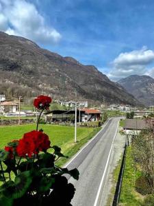 Ein allgemeiner Bergblick oder ein Berglick von der Ferienwohnung aus