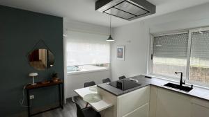 a kitchen with a sink and a counter with a mirror at Jabego2 in Sarria