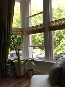 a window with two potted plants in a room at Lakeside View Arts and Craft Apartment in Liverpool