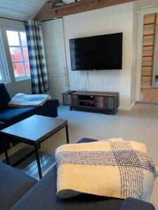a living room with a couch and a tv at Close to sea, central, rent a boat, mountain hike, wifi, free parking in Haug