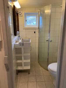 a bathroom with a sink and a toilet at Close to sea, central, rent a boat, mountain hike, wifi, free parking in Haug