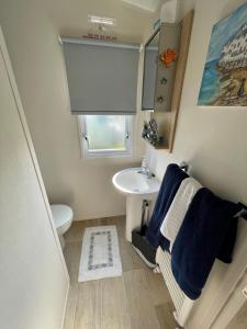 a small bathroom with a sink and a toilet at Crandley Manor Lodge in Whitstable