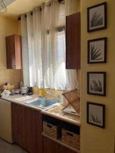 een keuken met een wastafel en een raam bij GK Apartment in Chios